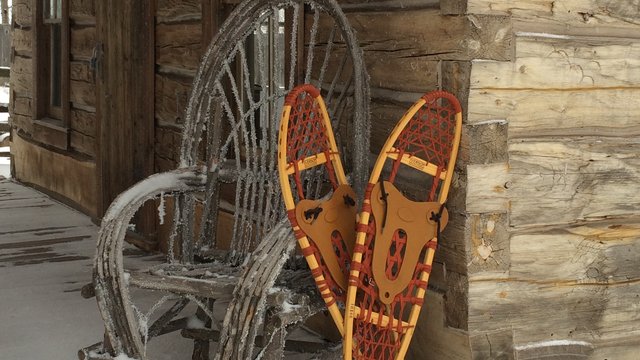 Key image for: Snowshoeing