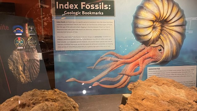 Key image for: Family Discovery Day: Fossils! Fossils! Fossils! July 21st 