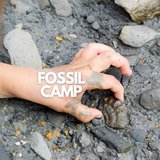 Fossil Camp June & July 2022