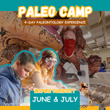Paleo Camp June & July 