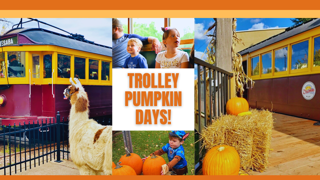 Key image for: Trolley Pumpkin Days October 8th & 15th