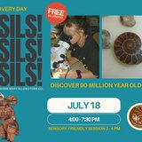 Family Discovery Day: Fossils! Fossils! Fossils!